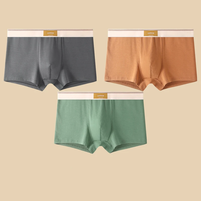 Lot de Boxers Coton & Confort Quotidien