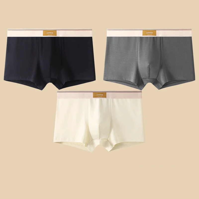 Lot de Boxers Coton & Confort Quotidien