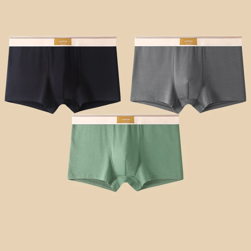Lot de Boxers Coton & Confort Quotidien