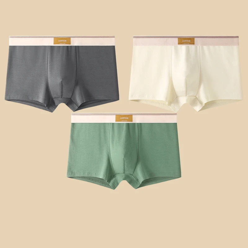 Lot de Boxers Coton & Confort Quotidien